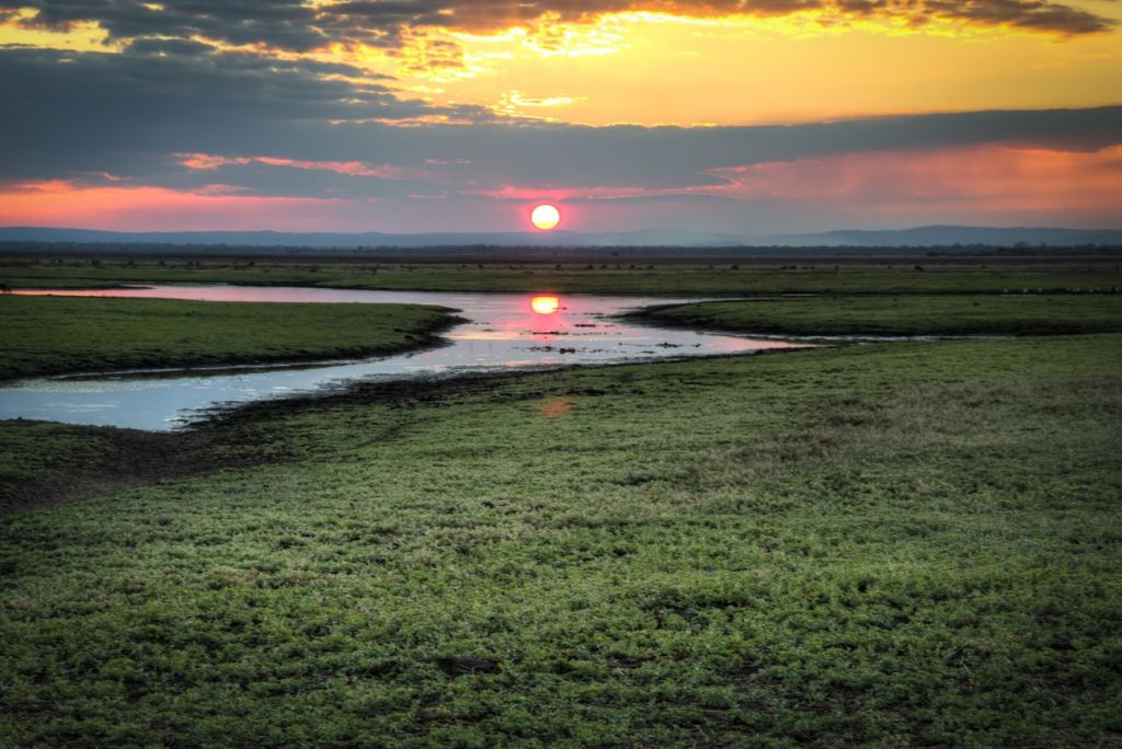 Gorongosa National Park Mozambique