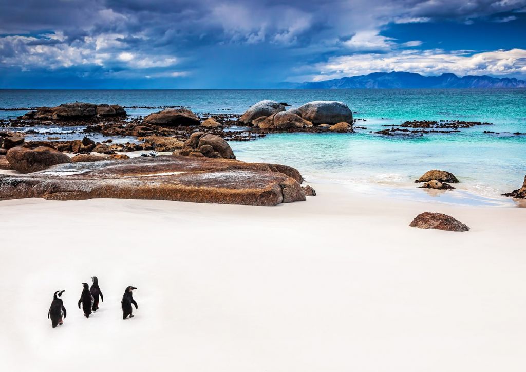 Boulders Beach south africa