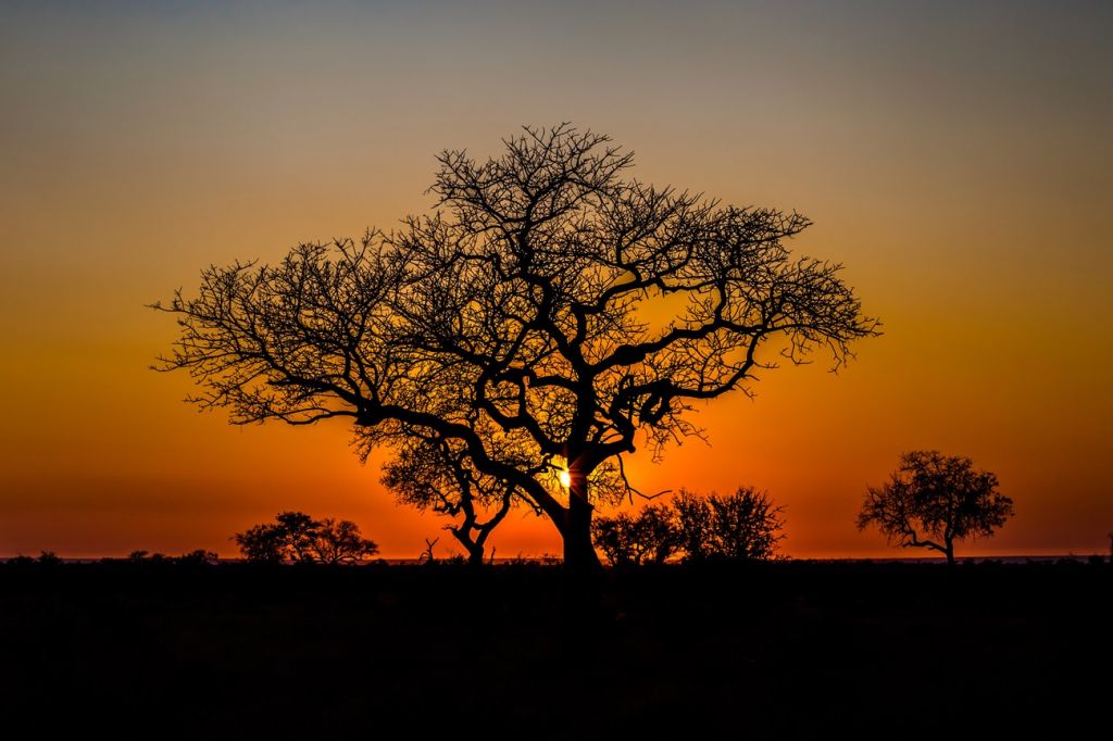 iSimangaliso Wetland Park