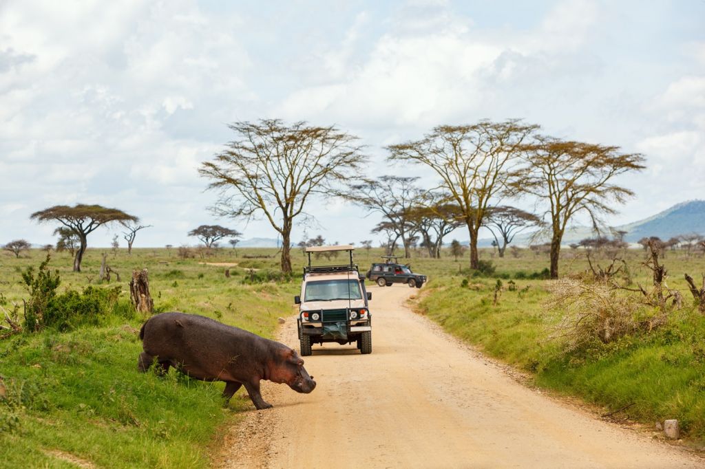 Hwange National Park (Zimbabwe)