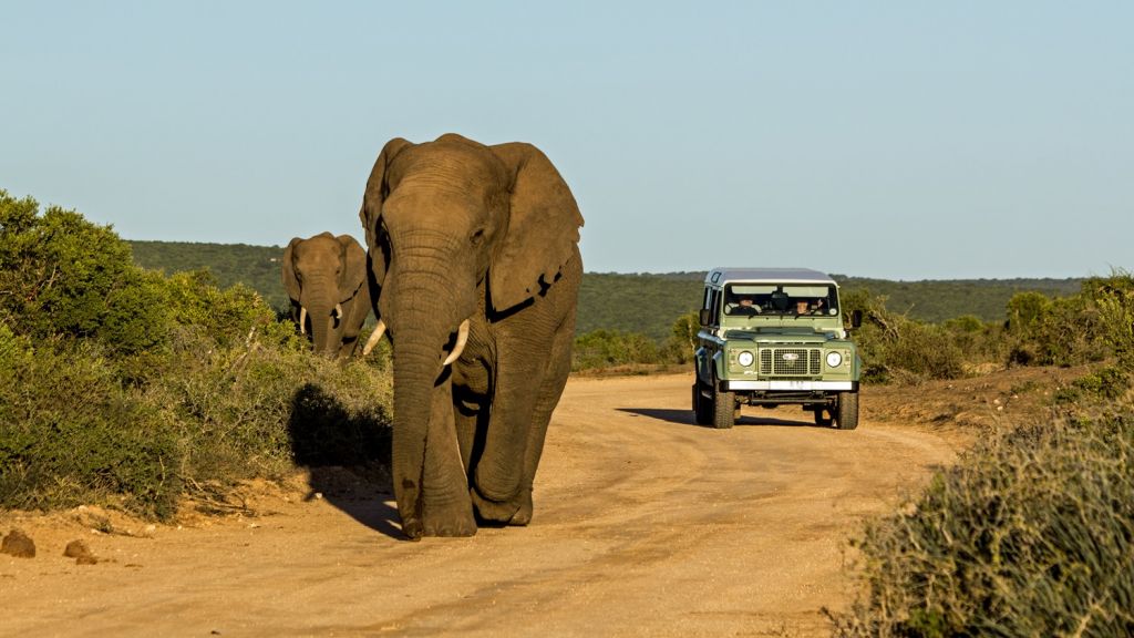 Kafue National Park