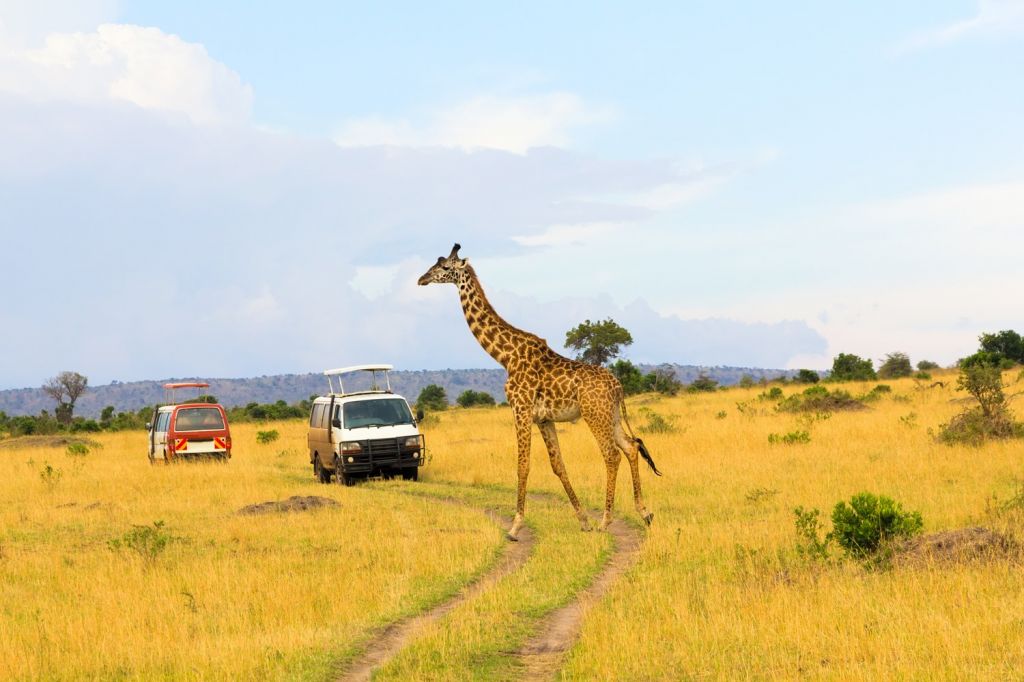 Maasai Mara National Reserve (Kenya)