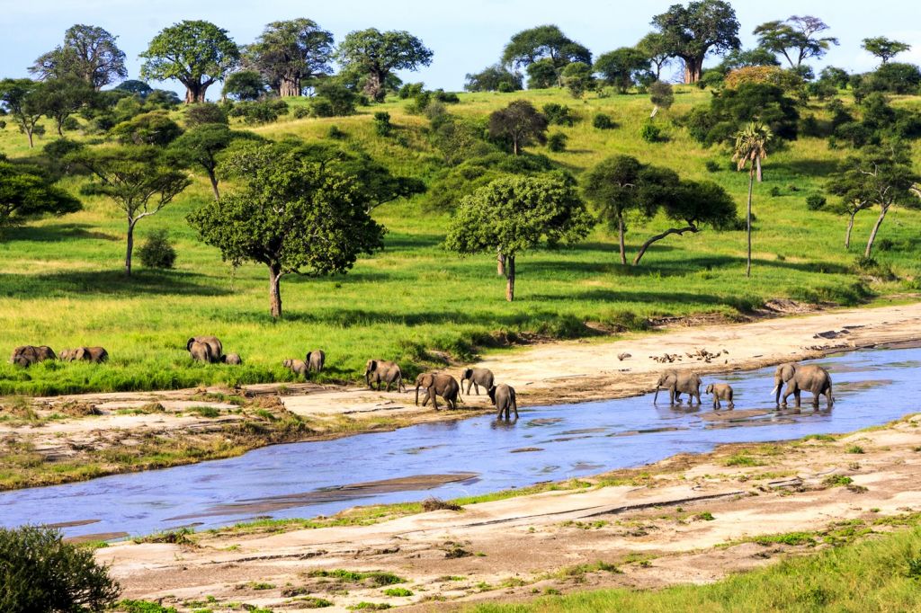 Serengeti National Park (Tanzania)