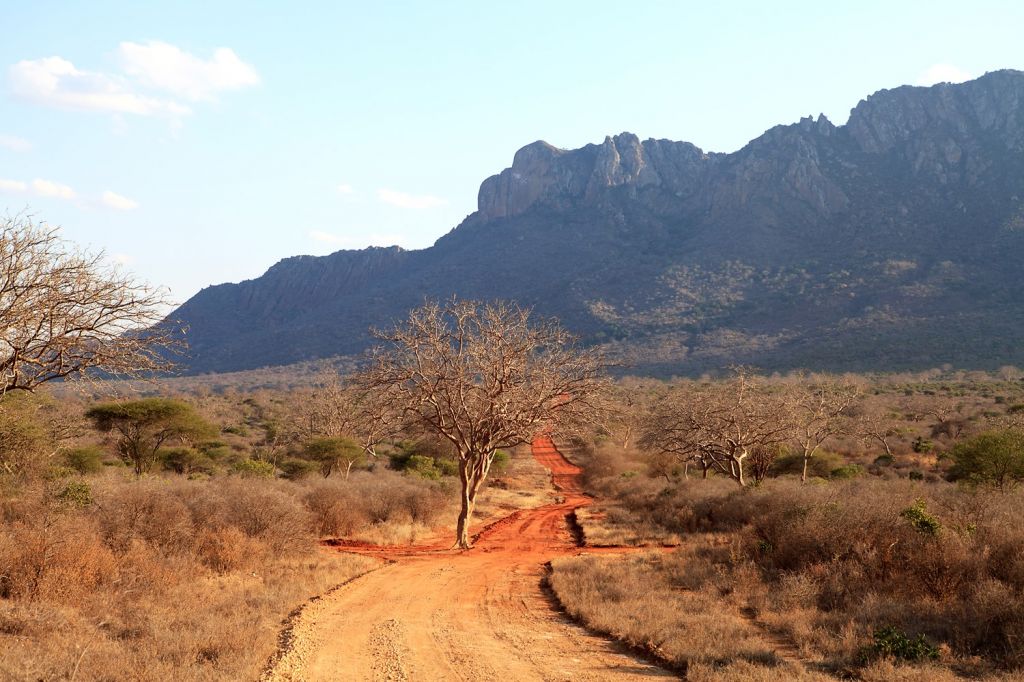 Ngulia Rhino Sanctuary