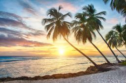 top beaches in barbados