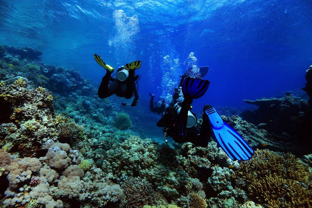 Barracuda Point, Indonesia