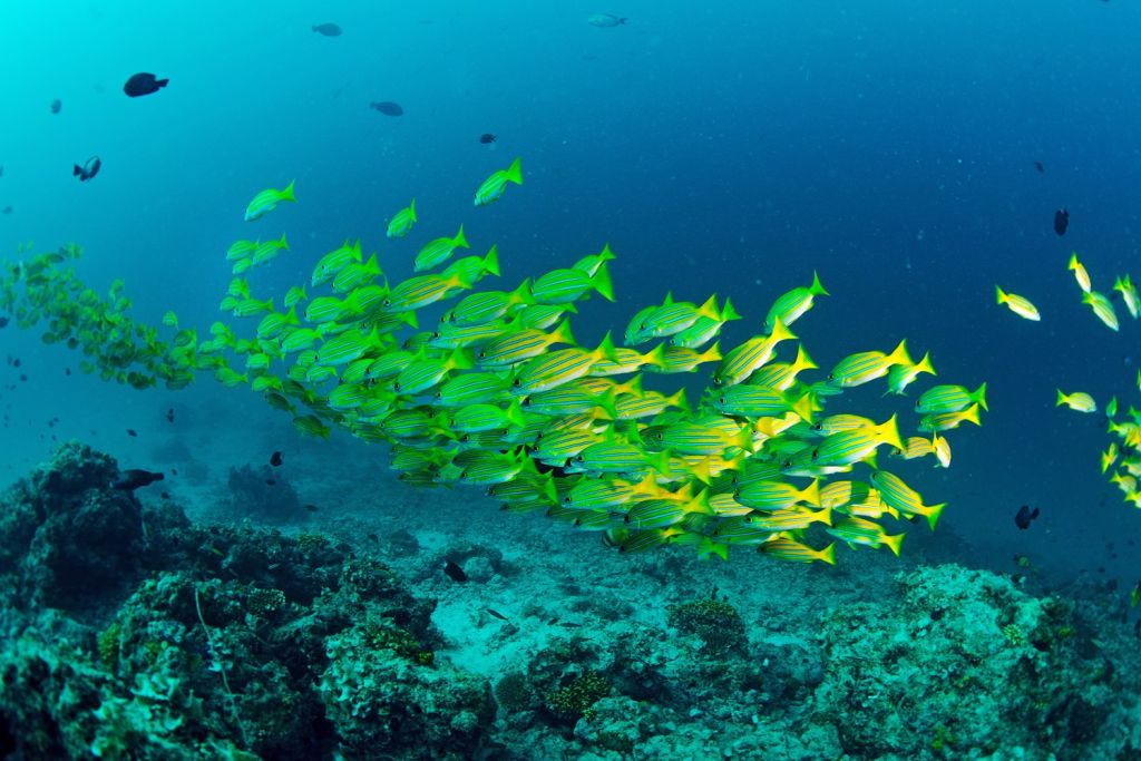 Sipadan Island, Malaysia