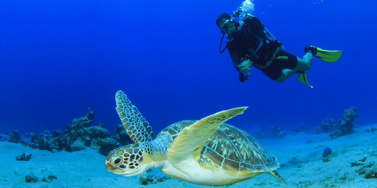 Top 10 dive sites in Asia