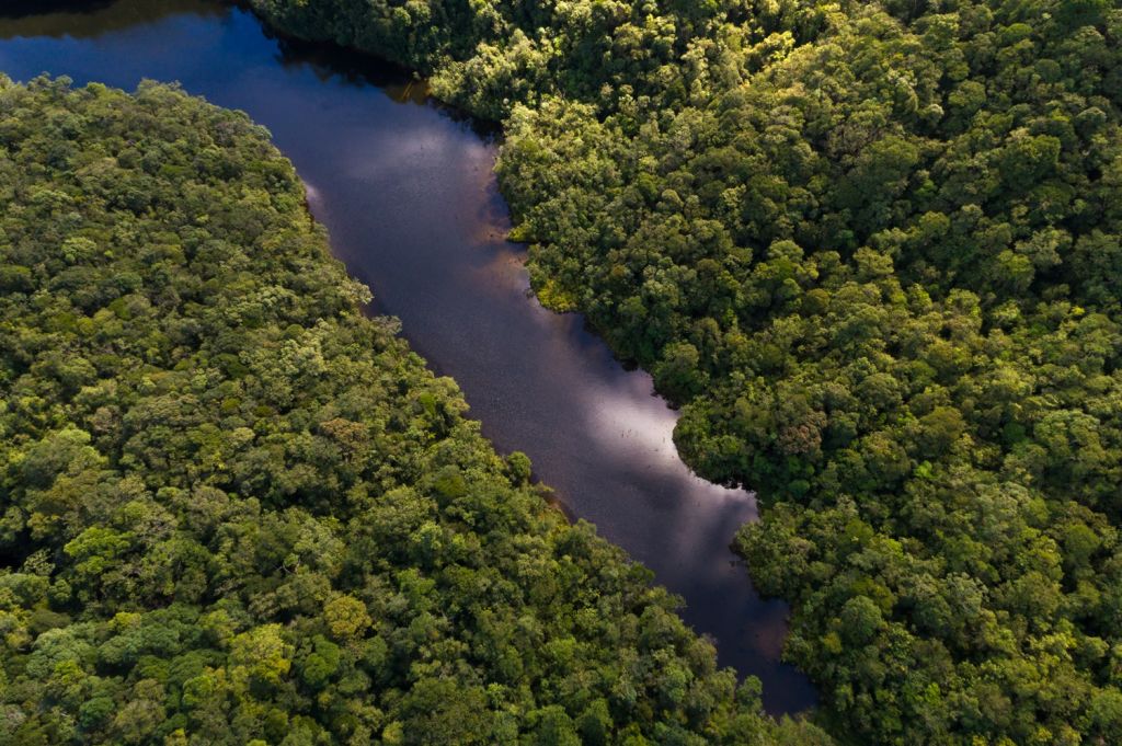 amazon Colombia