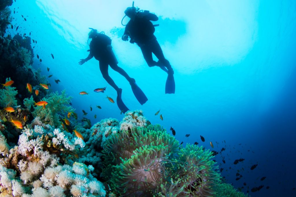 Scuba diving in Colombia