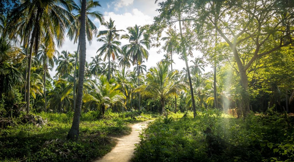 Tayrona National park Colombia