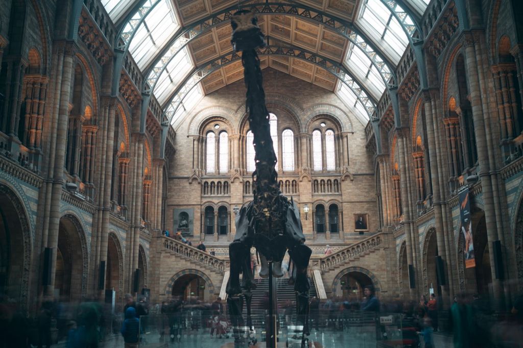 Natural History Museum