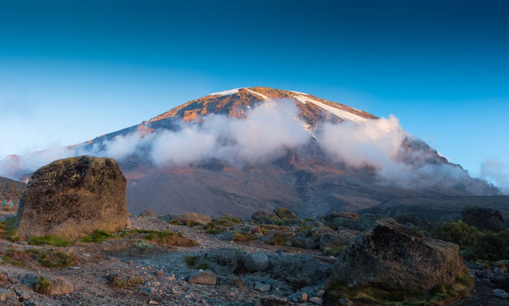 kilimanjaro