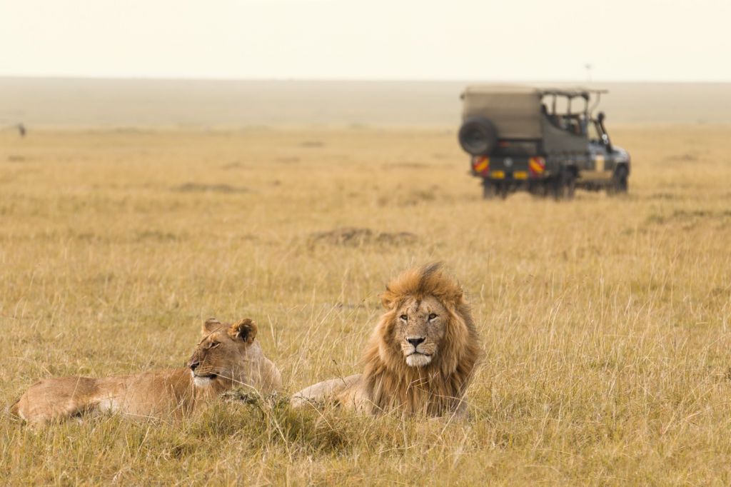 Masai Mara National Reserve