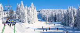 Ski resorts to enjoy in summer