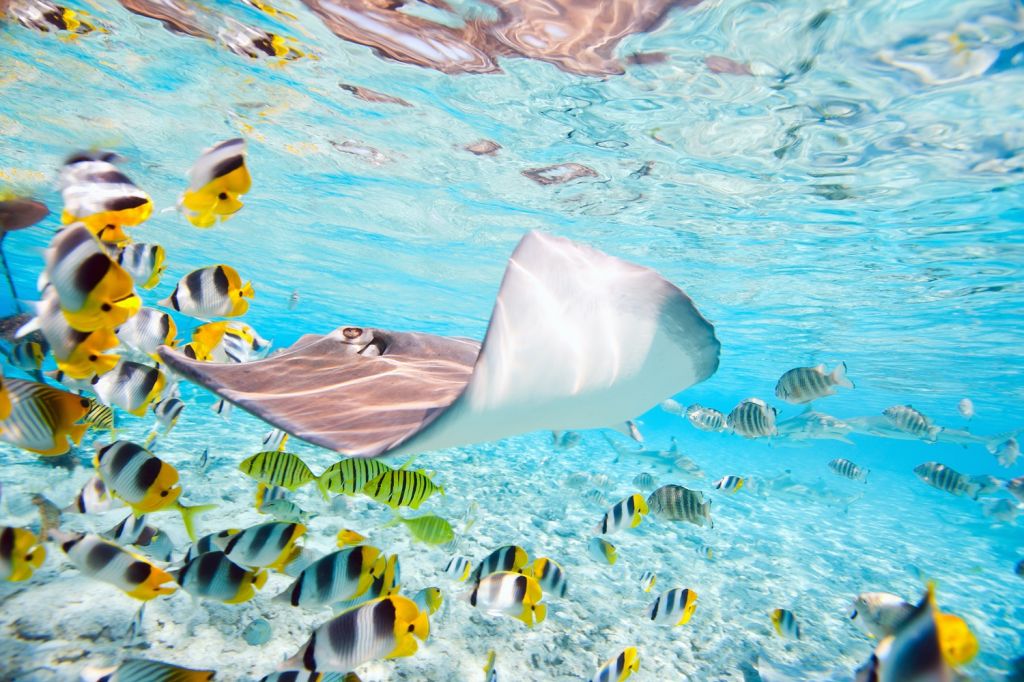 Bora Bora, French Polynesia