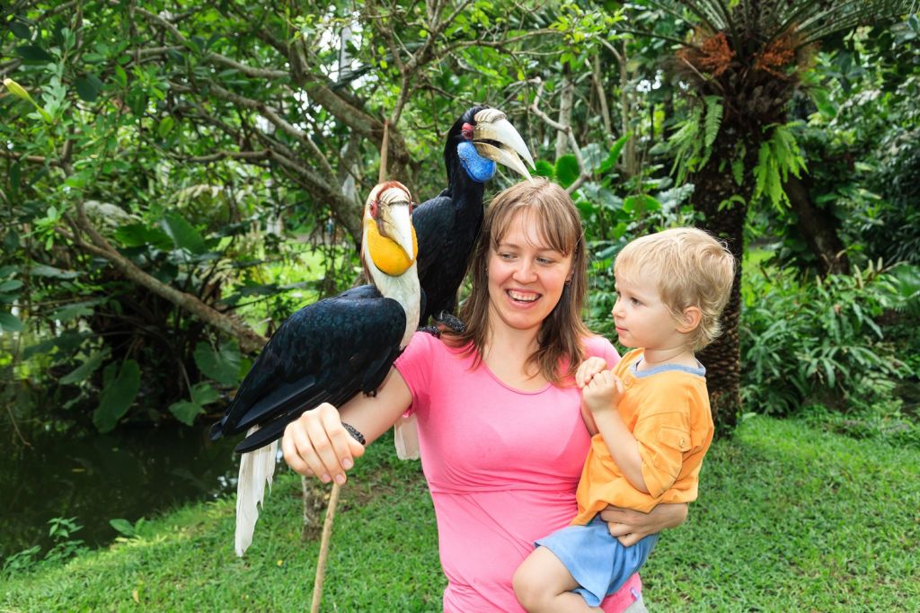 Bali Bird Park