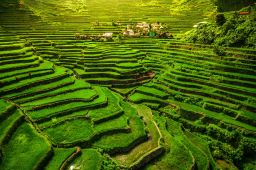 The Banaue Rice Terraces in Philippines