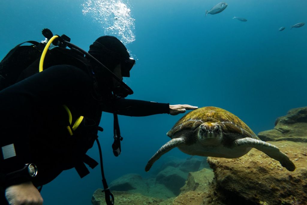 scuba diving - Zante