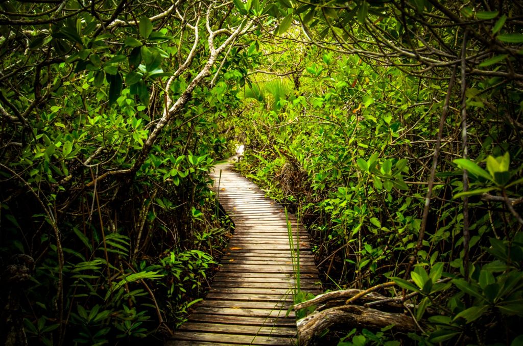 Lucayan National Park - Bahamas