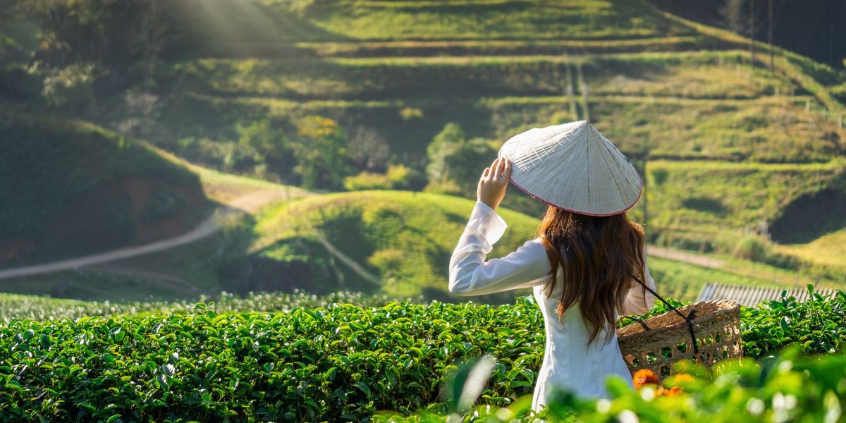 Top 5 Travel Tips For Vietnam