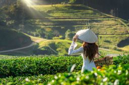 Top 5 Travel Tips For Vietnam