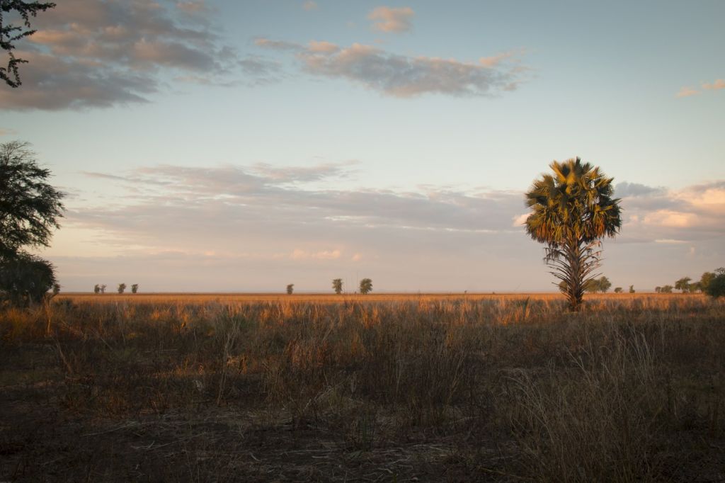 Gorongosa national park - Momzambique