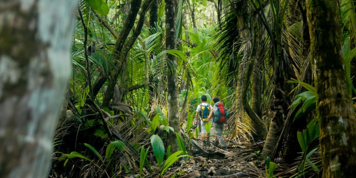 Must-trek Costa Rican hiking trails