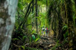 Must-trek Costa Rican hiking trails
