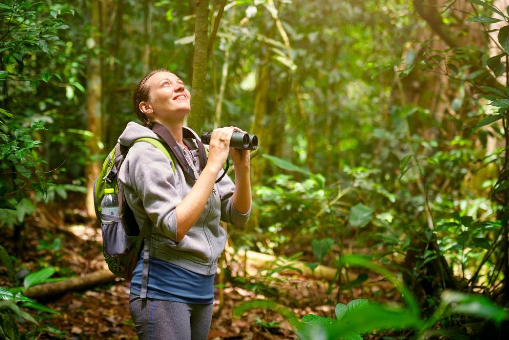 Things you need to know before traveling to a rainforest 4