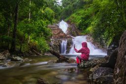 5 Tips For Great Rainforest Photography