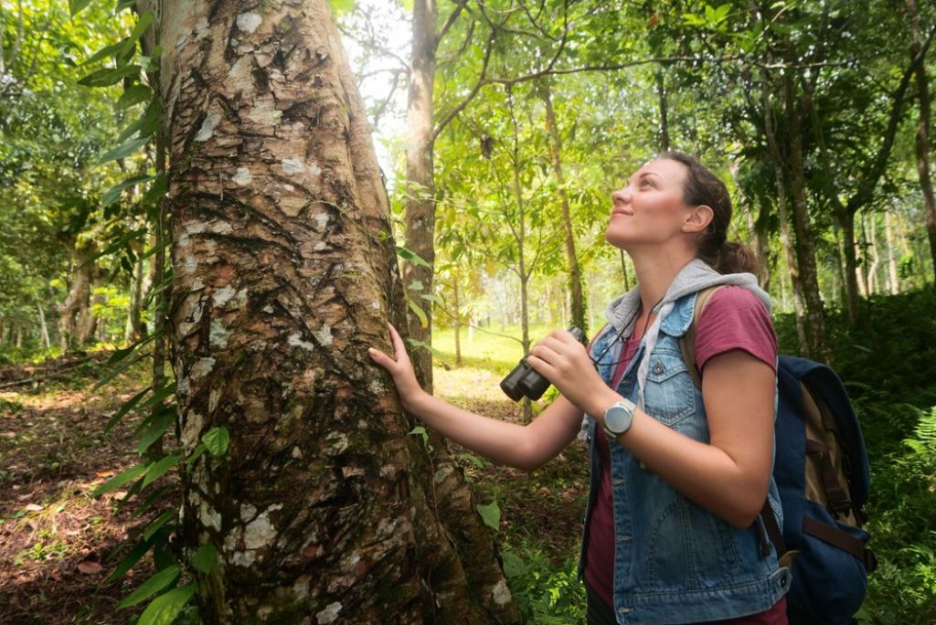 rainforest tour guide