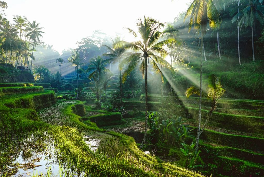 Bali. Your perfect honeymoon destination. 4