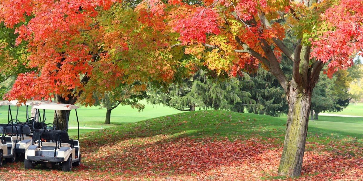Best Destinations for Playing Golf in Fall
