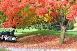 Best Destinations for Playing Golf in Fall