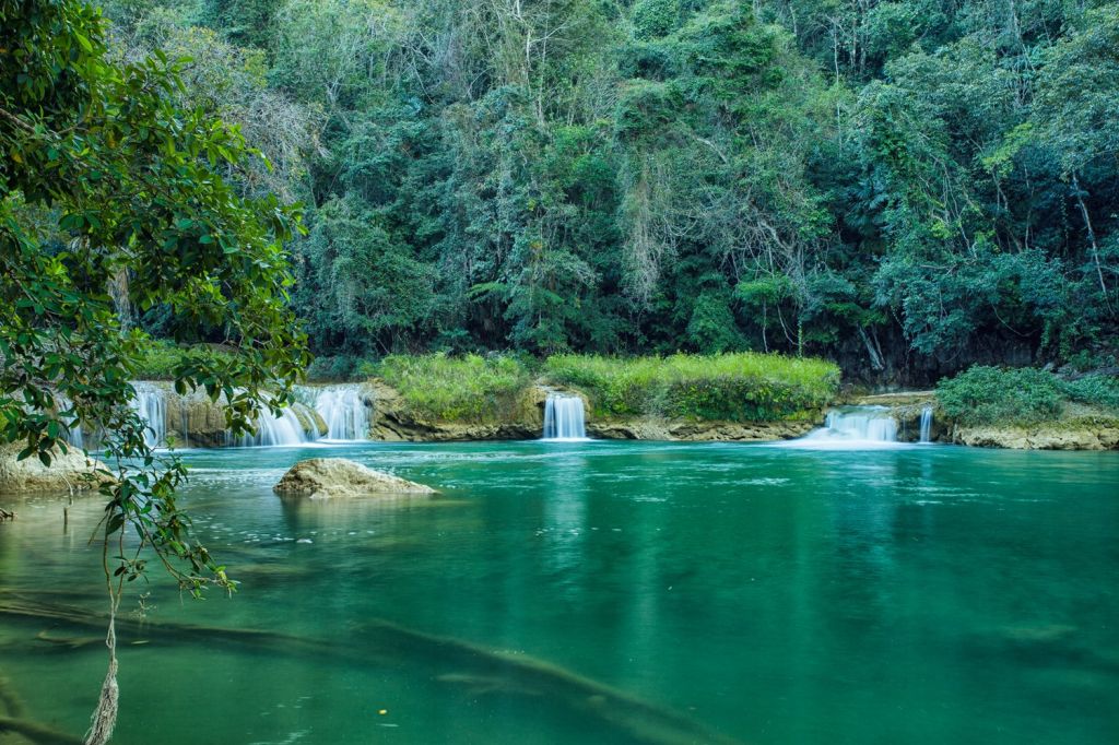 rainforest tour belize