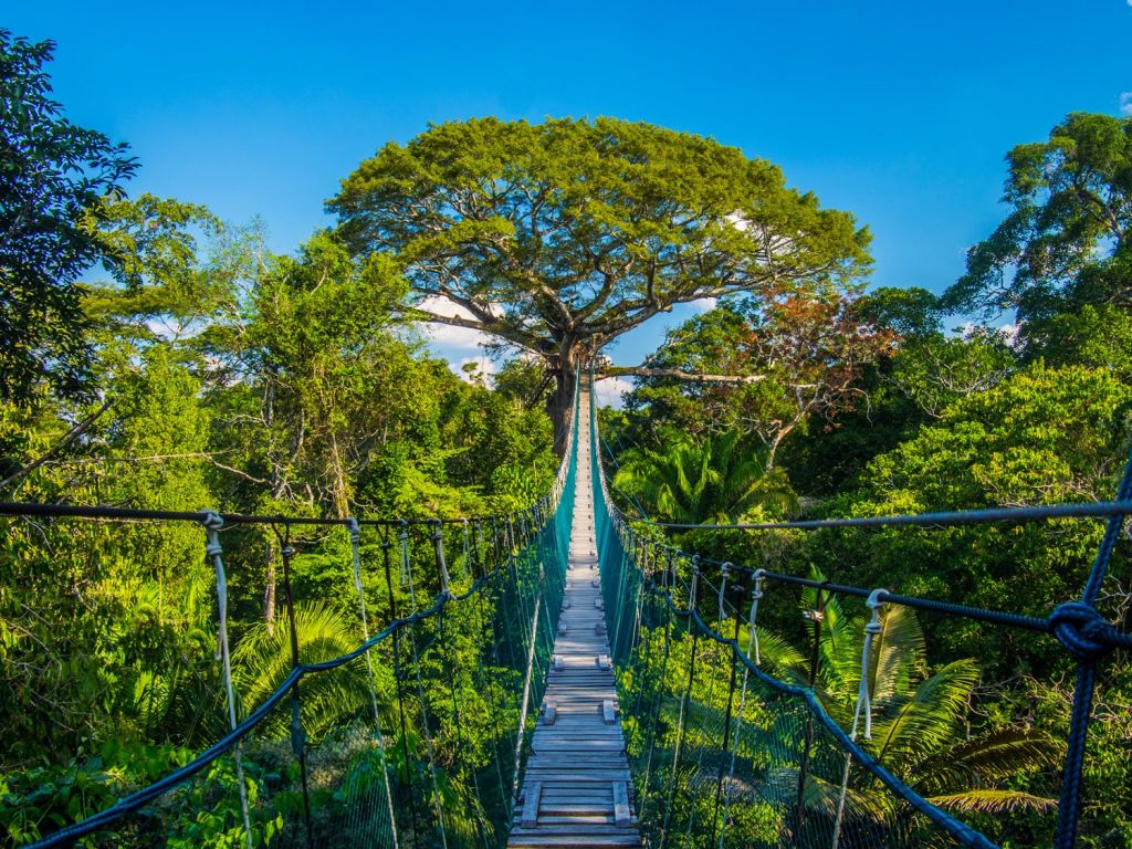 Best rainforest destinations