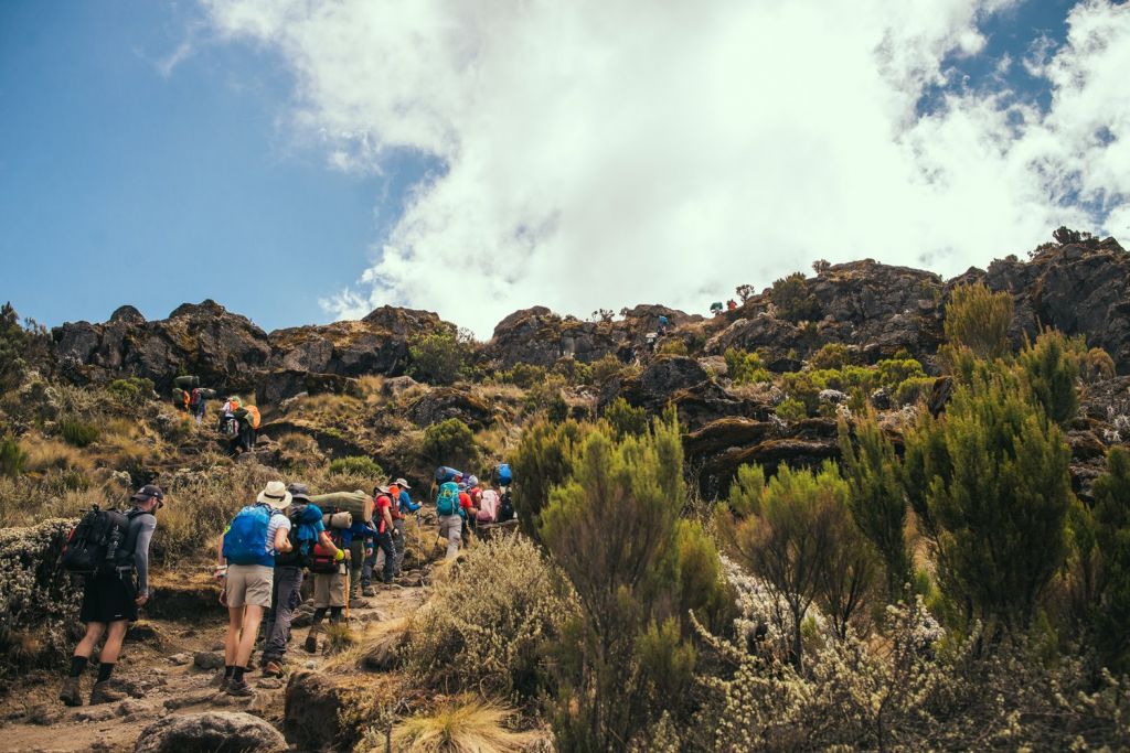 Kilimanjaro Hike 1