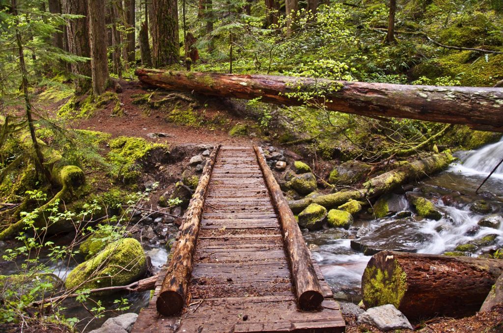 Preparing for a Hiking Adventure 1