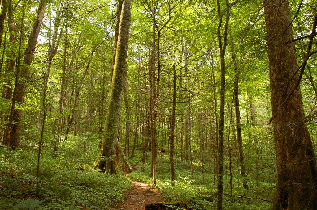 Appalachian Trail, United States