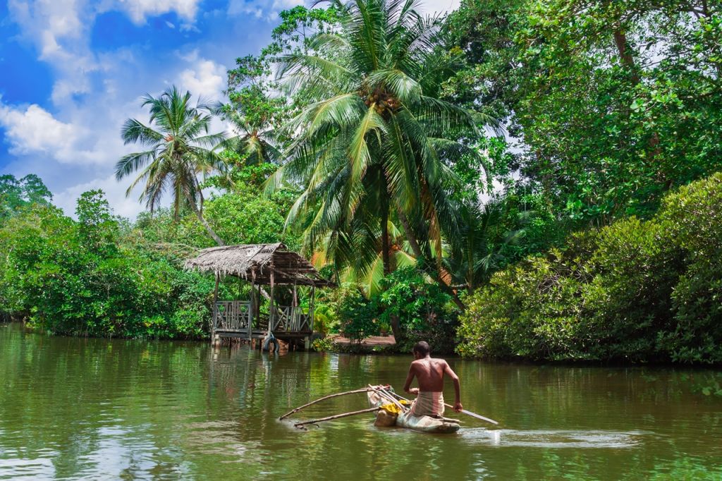 the wildlife and plants of Sri Lanka