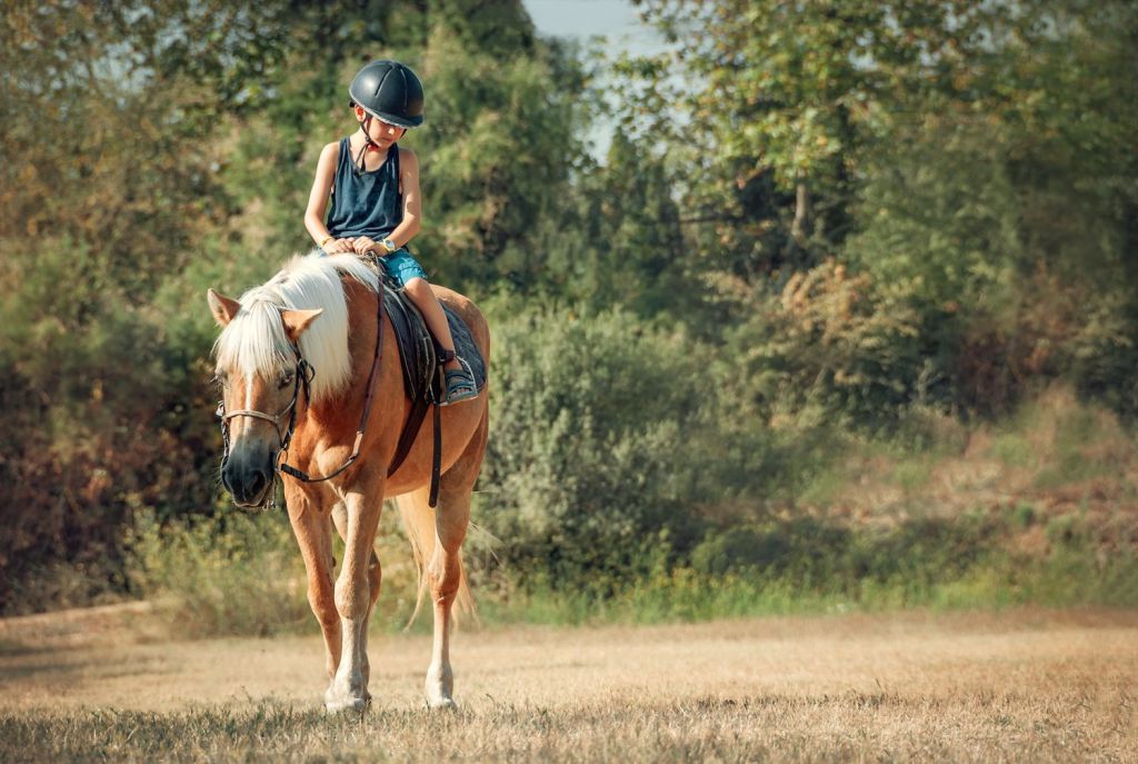 Horse Riding