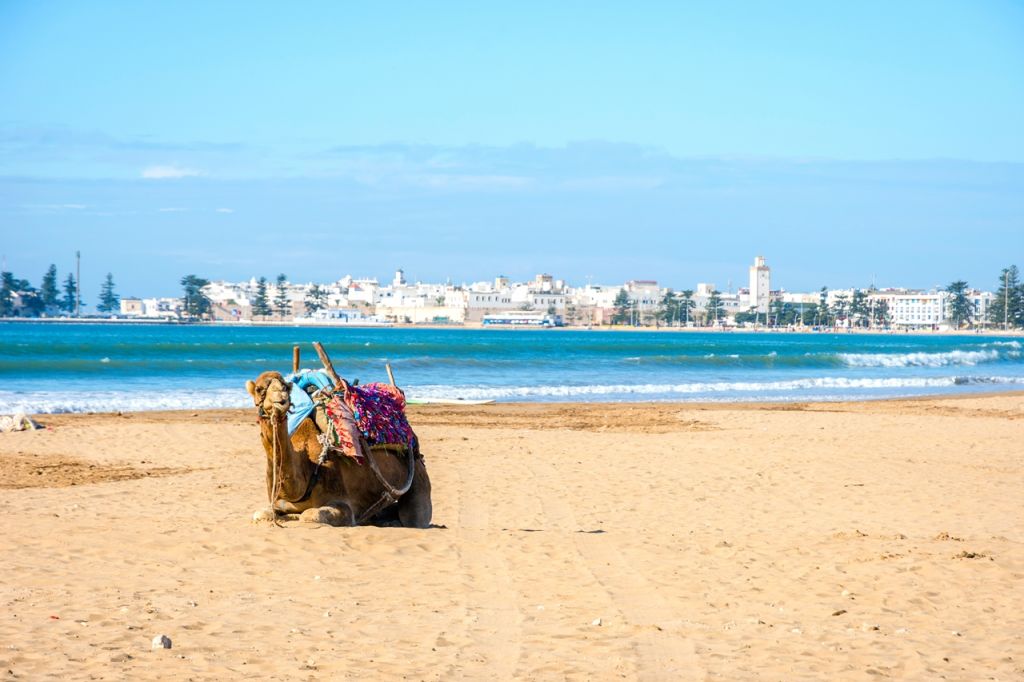 Essaouira Morocco