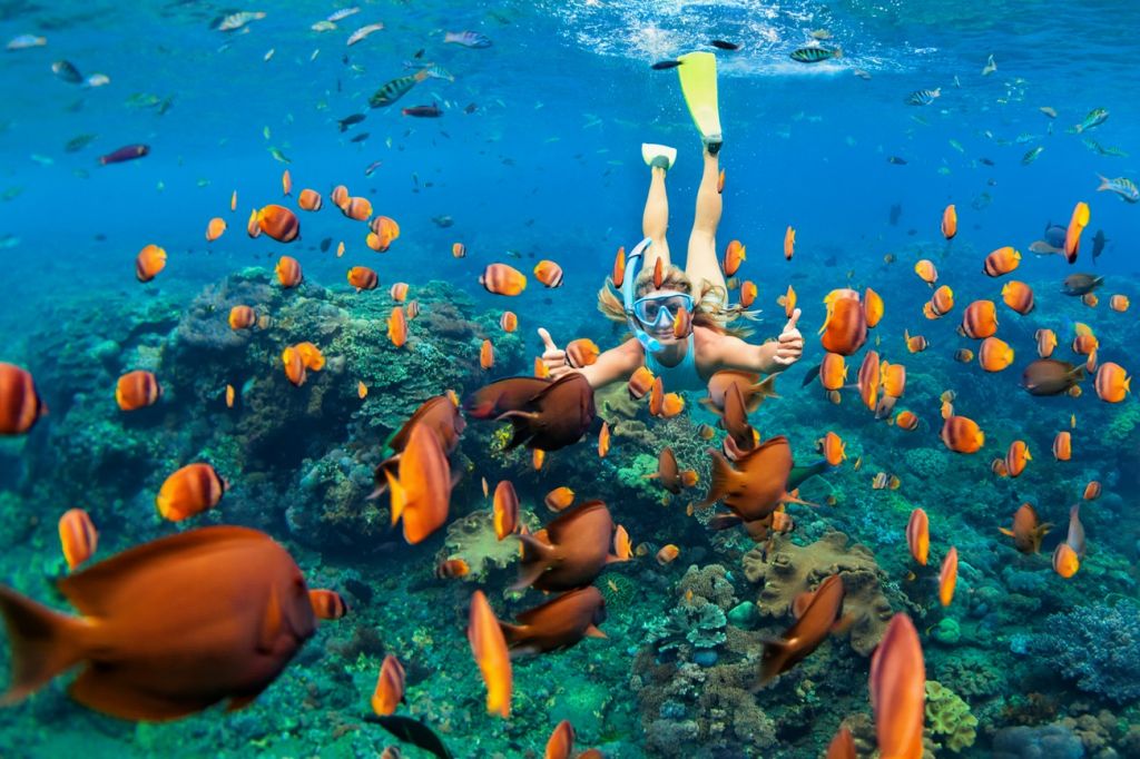 snorkeling Maldives