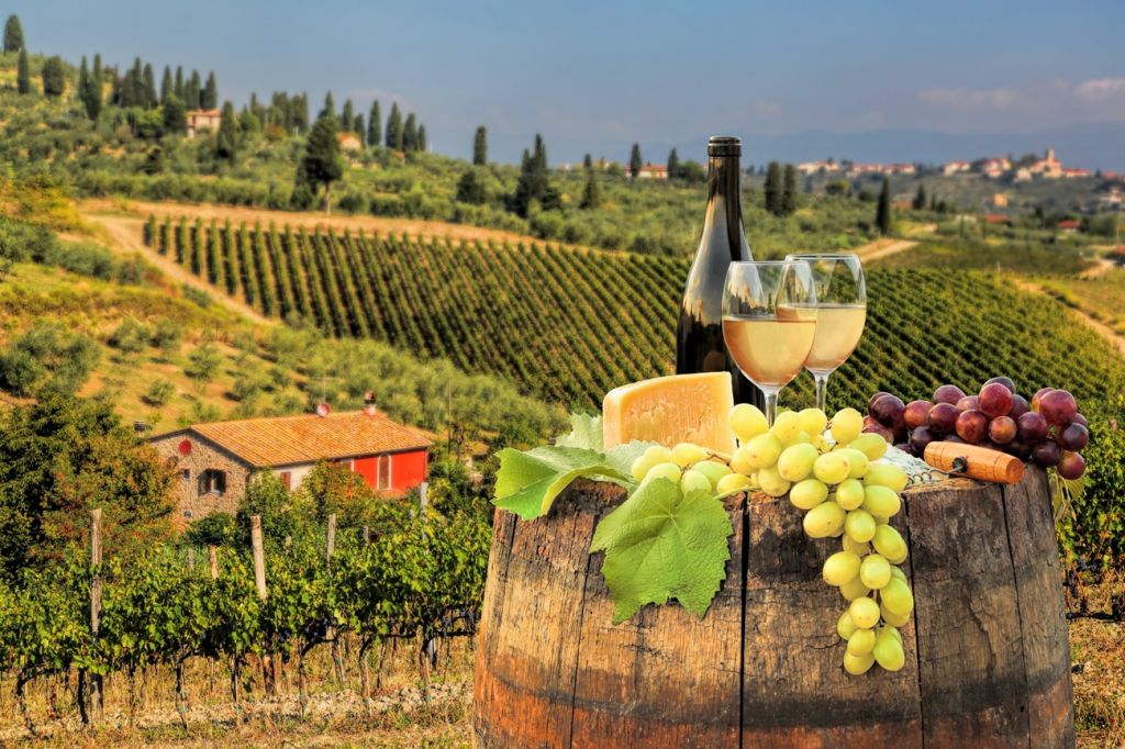 Wine Tasting and Winery Tours
