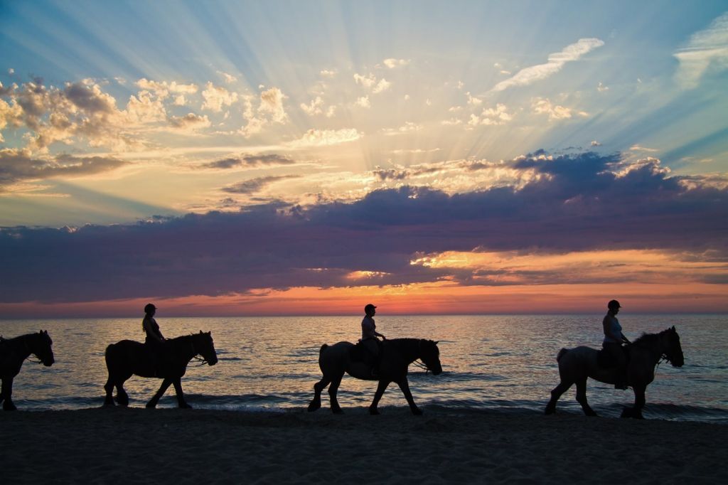 horse riding through the scenic views of Canggu