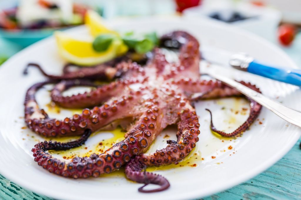 Octopus