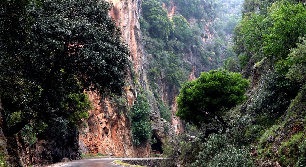 Therisso gorge Chania