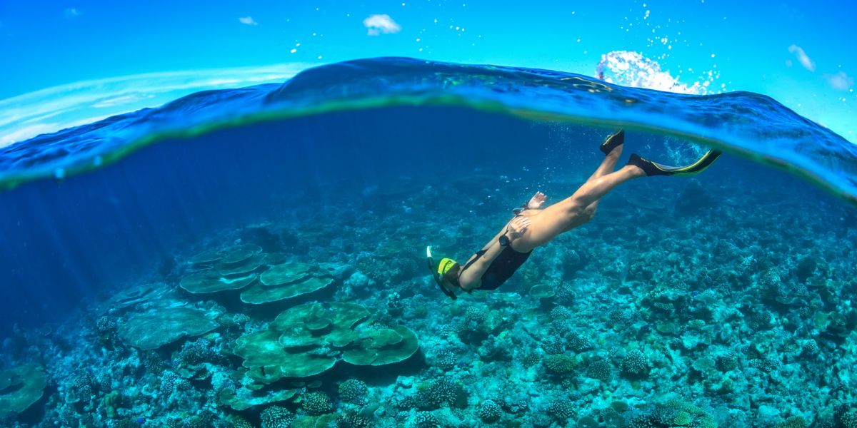 Best Snorkelling Spots In The Caribbean