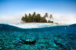 scuba diving diver below coconut island bali lombok sulawesi